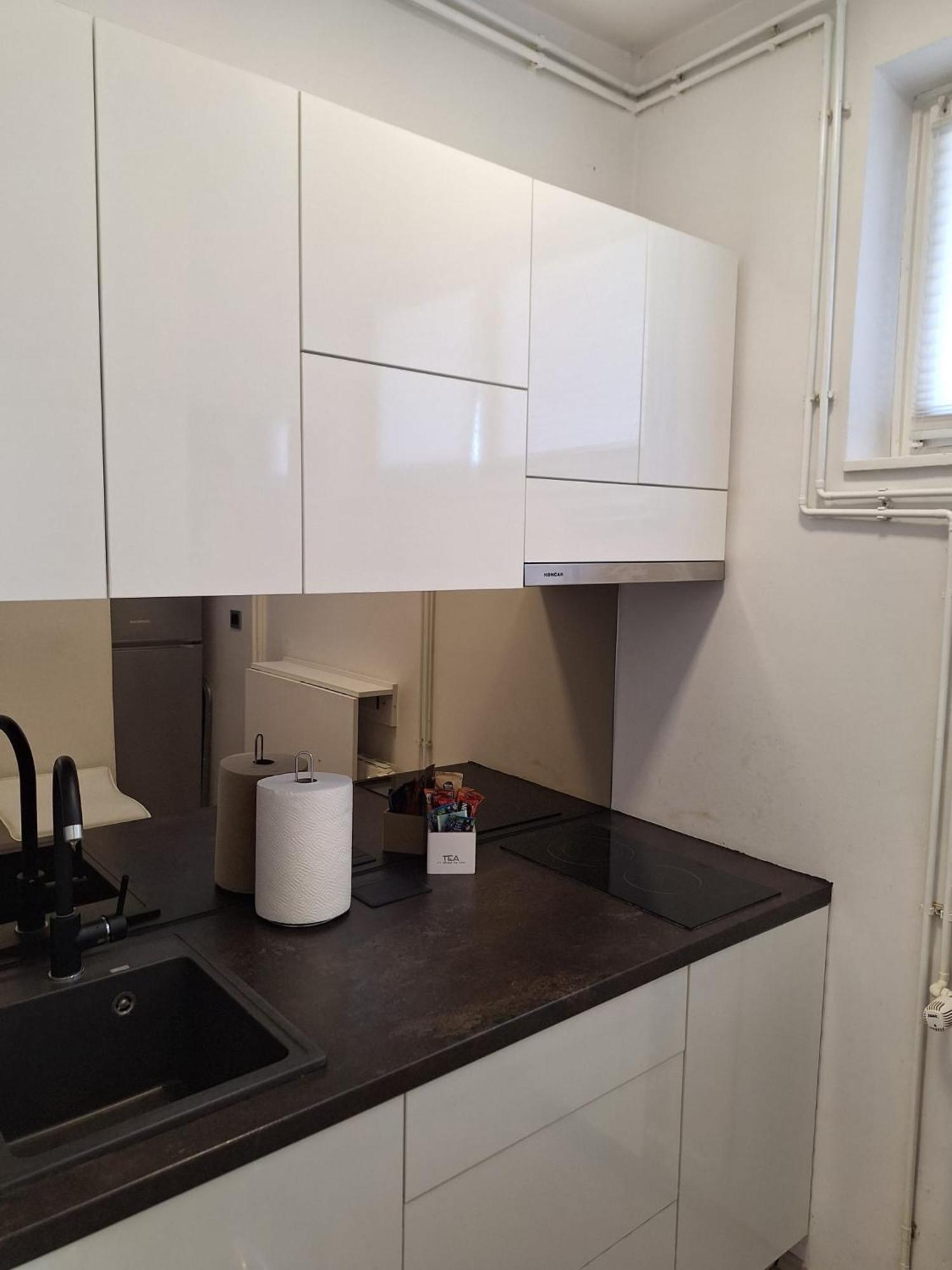 Apartment Apex Penthouse Self Check-In Karlovac Exterior foto